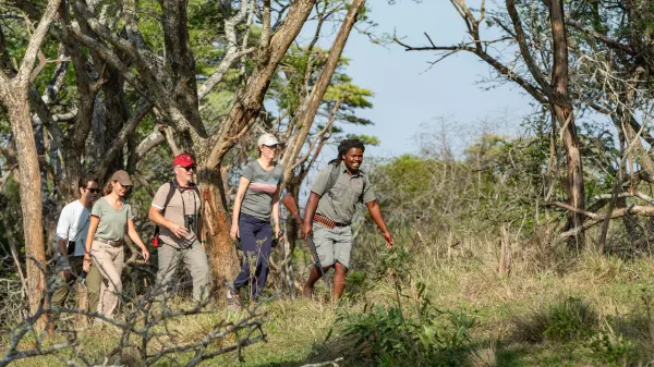 Rhino Ridge Safari Lodge_Guided bush walk